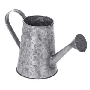 Watering Can