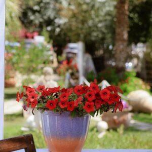 Garden Decor